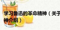 學習魯迅的革命精神(關于學習魯迅的革命精神介紹)