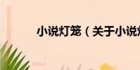 小說燈籠(關于小說燈籠簡介)
