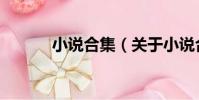 小說合集(關于小說合集簡介)