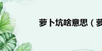 蘿卜坑啥意思(蘿卜坑)
