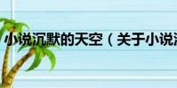 小說沉默的天空(關于小說沉默的天空簡介)