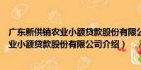 廣東新供銷農業小額貸款股份有限公司(關于廣東新供銷農業小額貸款股份有限公司介紹)