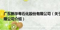 廣東新華粵石化股份有限公司(關于廣東新華粵石化股份有限公司介紹)