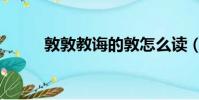 敦敦教誨的敦怎么讀(敦敦教誨)