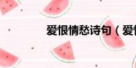 愛恨情愁詩句(愛恨情愁)