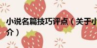 小說名篇技巧評點(關于小說名篇技巧評點簡介)