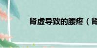 腎虛導致的腰疼(腎虛導致)