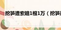 挖筍遭索賠1根1萬(挖筍遭索賠1根1萬)