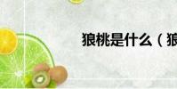 狼桃是什么(狼桃)