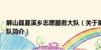屏山縣夏溪鄉志愿服務大隊(關于屏山縣夏溪鄉志愿服務大隊簡介)
