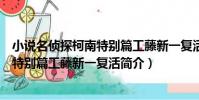 小說名偵探柯南特別篇工藤新一復活(關于小說名偵探柯南特別篇工藤新一復活簡介)
