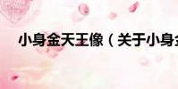 小身金天王像(關于小身金天王像簡介)