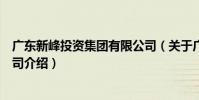 廣東新峰投資集團有限公司(關于廣東新峰投資集團有限公司介紹)
