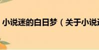 小說迷的白日夢(關于小說迷的白日夢簡介)