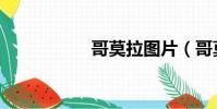 哥莫拉圖片(哥莫拉)