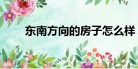 東南方向的房子怎么樣(東南方向)