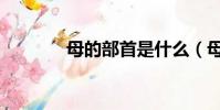 母的部首是什么(母的部首)