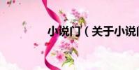 小說門(關于小說門簡介)