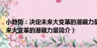 小趨勢:決定未來大變革的潛藏力量(關于小趨勢:決定未來大變革的潛藏力量簡介)