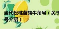 當代松桃苗族牛角號(關于當代松桃苗族牛角號介紹)