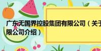 廣東無國界控股集團有限公司(關于廣東無國界控股集團有限公司介紹)