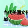 當代美國文化透視（關于當代美國文化透視介紹）
