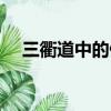 三衢道中的停頓劃分（三衢道中的詩意）