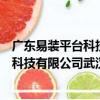 廣東易裝平臺科技有限公司武漢分公司（關于廣東易裝平臺科技有限公司武漢分公司介紹）