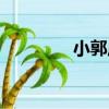 小郭莊（關于小郭莊簡介）