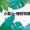 小重山·綠樹鶯啼春正濃（關于小重山·綠樹鶯啼春正濃簡介）