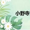 小野寺賢（關于小野寺賢簡介）
