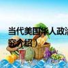 當代美國華人政治參與研究（關于當代美國華人政治參與研究介紹）