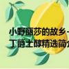 小野麗莎的故鄉-拉丁爵士醇精選（關于小野麗莎的故鄉-拉丁爵士醇精選簡介）
