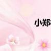 小鄭村（關于小鄭村簡介）