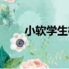 小軟學生枕（關于小軟學生枕簡介）