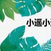 小遙小遙（關于小遙小遙簡介）