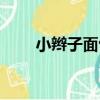 小辮子面包（關于小辮子面包簡介）