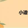 小道情（關于小道情簡介）