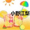 小野江梨花（關于小野江梨花簡介）