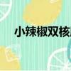 小辣椒雙核版（關于小辣椒雙核版簡介）