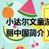 小達爾文童游美麗中國（關于小達爾文童游美麗中國簡介）