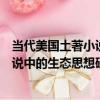 當代美國土著小說中的生態思想研究（關于當代美國土著小說中的生態思想研究介紹）