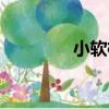 小軟枕（關于小軟枕簡介）