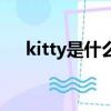 kitty是什么意思啊（kitty是什么意思）