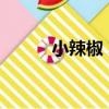 小辣椒 I2（關于小辣椒 I2簡介）
