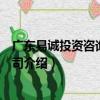廣東易誠投資咨詢有限公司（關于廣東易誠投資咨詢有限公司介紹）