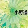 小野道子（關于小野道子簡介）