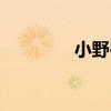 小野獸（關于小野獸簡介）