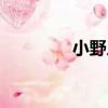 小野人（關于小野人簡介）