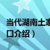 當代湖南土家族吞口（關于當代湖南土家族吞口介紹）